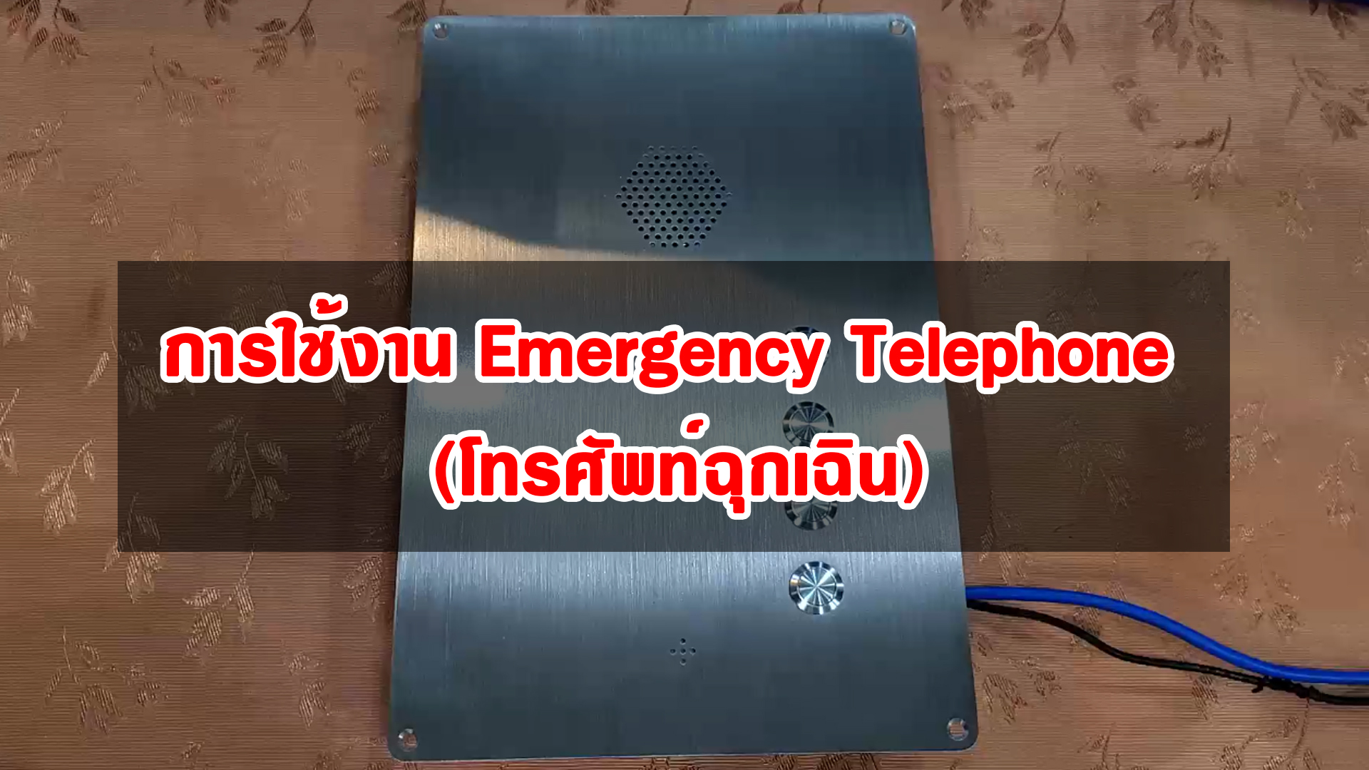 emergencytelephone | NEC SL1000 and SL2100